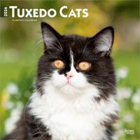 Zwart Wit Katten Kalender 2026