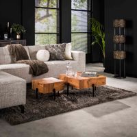 LifestyleFurn Salontafel Midori Acaciahout, Set van 2 stuks - Massief acacia naturel - Vierkant