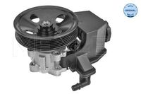 Servo pomp 0146310031