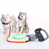 Twee koppige creatieve automatische intrekbare huisdier tractie touw (grijs)
