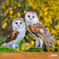 Uilen Kalender 2026