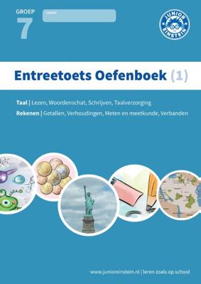Entreetoets oefenboek (Paperback)