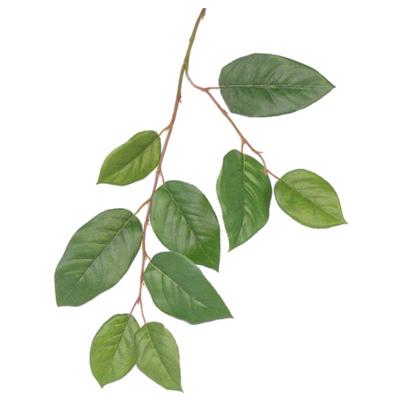 Appelboom groene takken - kunstplant - 77 cm - maak boeket met bloemen - bladgroen Appelboom groene takken - kunstplant - 77 cm - maak boeket met bloemen - bladgroen