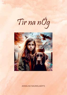 Tír na nóg (Paperback)