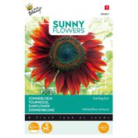 3 stuks Sunny flowers evening sun - thumbnail