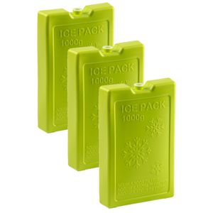 6x stuks 1000 grams koelelementen 22 x 14.5 cm groen