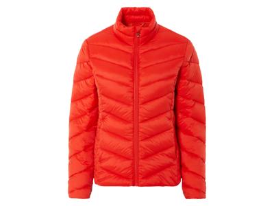 esmara Gewatteerde dames jas (M (40/42), Rood)