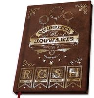 Harry Potter A5 Notebook - Quidditch