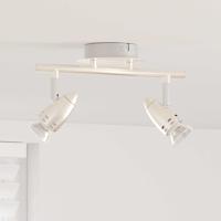 VidaXL Plafondspot met schijnwerpers nikkel 27 x 10 x 12 cm metaal