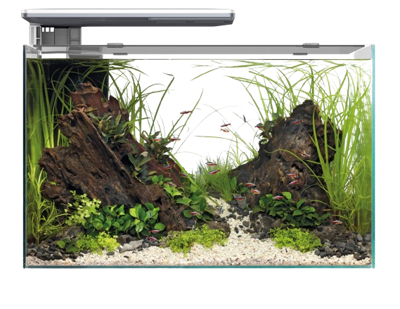 Superfish Quadro 70 Pro wit