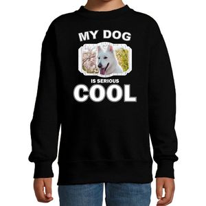 Witte herder honden trui / sweater my dog is serious cool zwart voor kinderen