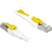 DeLOCK Patchkabel RJ-45 Secure met Cat.6a kabel 85335, 5 meter - thumbnail