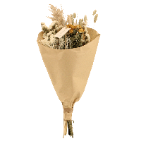 Droogbloemen Field Bouquet Natural - Ø25cm - ↕60cm - Ø20 - ↨50cm