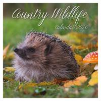 Country Wildlife 16 Maanden Kalender 2026