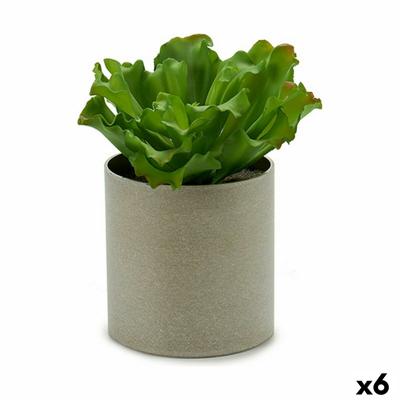Decoratieve plant 20 x 25 x 20 cm (6 Stuks)