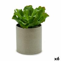 Decoratieve plant 20 x 25 x 20 cm (6 Stuks)