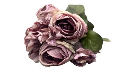 Boeket antiek paarse rozen en hortensia's - Buitengewoon de boet