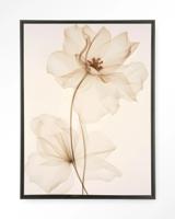 Urban Cotton Wandkleed 'White Flowers' 145 x 190cm in Floating Frame - black