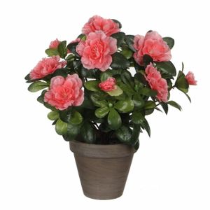 Groene Azalea kunstplant perzikkleurige bloemen 27 cm in pot   -