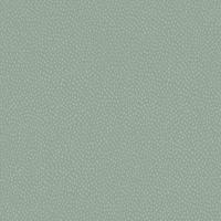 Dutch Wallcoverings Patagonia - Pinto Duck - Egg