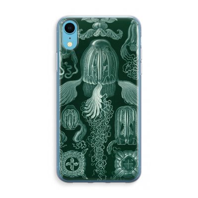 Haeckel Cubomedusae: iPhone XR Transparant Hoesje