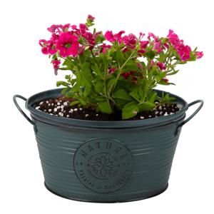 Plantenpot/bloempot teil voor buiten - zink - rond - petrolblauw - D25 x H12 cm