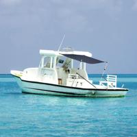 Schaduwdoek T-top 170x208x(115-183) cm marineblauw
