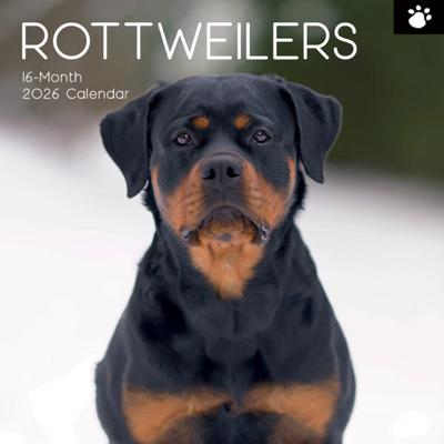 Rottweiler Kalender 2026