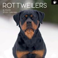 Rottweiler Kalender 2026