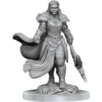 D&D Nolzur's Marvelous Miniatures Unpainted Miniatures 2-Pack Orc Fighter Female - thumbnail