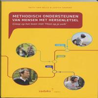 Methodisch ondersteunen van mensen met hersenletsel (Paperback)