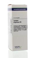 VSM Lycopus virginicus D6 20 Milliliter
