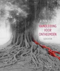 Handleiding voor Ontheemden - Robin Block - ebook