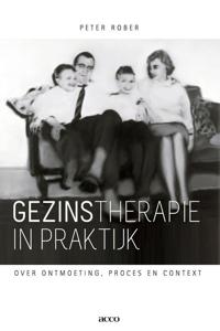 Gezinstherapie in praktijk (Paperback)