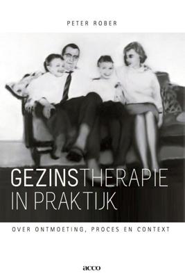 Gezinstherapie in praktijk (Paperback)