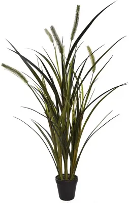 Pure Royal gras 86cm groen