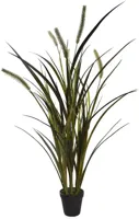 Pure Royal gras 86cm groen Pure Royal gras 86cm groen