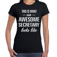 Awesome secretary / secretaresse cadeau t-shirt zwart dames 2XL  - - thumbnail
