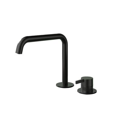 Hotbath Ace Wastafelmengkraan - opbouw - draaibare uitloop - 2gats - PVD - zwart geborsteld PVD AC023MBP