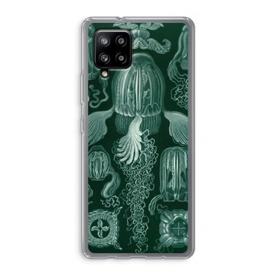 Haeckel Cubomedusae: Samsung Galaxy A42 5G Transparant Hoesje