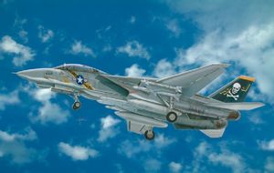 Italeri 1/48 F-14A Tomcat