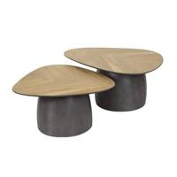 Hoyz Collection - Salontafel Infinite - Teakhout Fineer - Set van 2