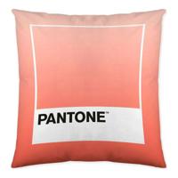Kussenhoes Ombre B Pantone Localization-B086JQB7QD Omkeerbaar 50 x 50 cm