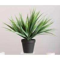 Leen Bakker - Siergras In Pot - 30 Cm - Kunststof - Groen