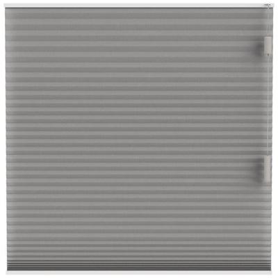 Leen Bakker - Fenstr Plisségordijn Cambridge Dubbel 25mm Transparant - (30020) - Polyester - Taupe - 120x10x10 Cm