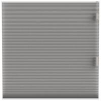 Leen Bakker - Fenstr Plisségordijn Cambridge Dubbel 25mm Transparant - (30020) - Polyester - Taupe - 120x10x10 Cm