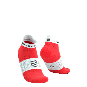 Compressport Pro racing socks v4.0 run low - ROOD - Unisex