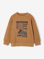 Set van 2 sweaters met ronde hals en print voor jongens pecannoot