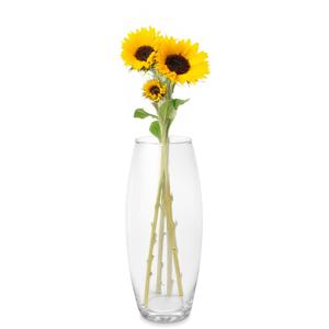 Bloemenvaas basic - transparant glas - D16 x H37 cm - cilinder vaas - boeketvaas - 5 liter