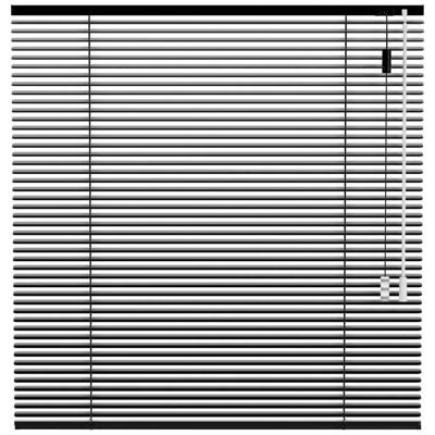 Leen Bakker - Fenstr Jaloezie 25mm Glans - (15027) - Aluminium - Zwart - 120x10x10 Cm